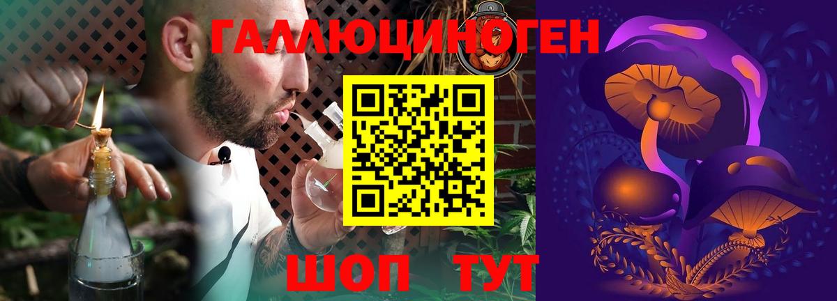 Галлюциногенные грибы Cubensis  Псилоцибиновые грибы MAGIC MUSHROOMS  Вход с VPN  купить наркоту  Гусь-Хрустальный 